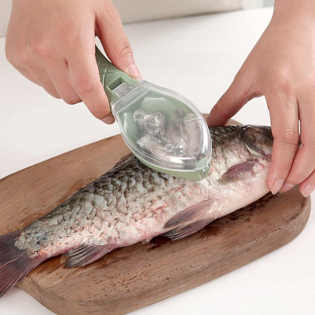 Buy Fish Skin & Scale Remover Tool Online | Effortless Seafood Prep | Springs Street UAE