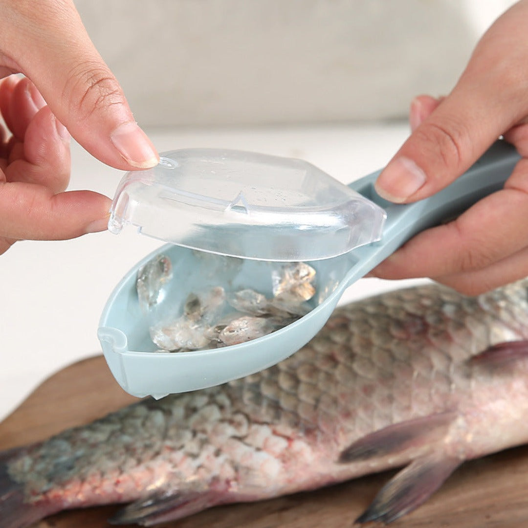 Buy Fish Skin & Scale Remover Tool Online | Effortless Seafood Prep | Springs Street UAE
